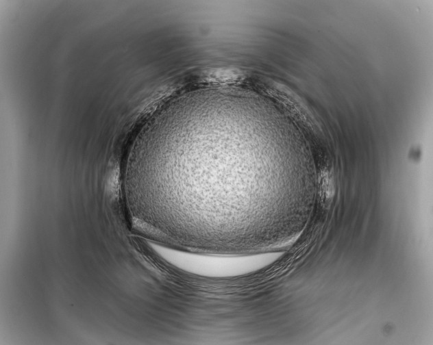 X0000099310564200805161415