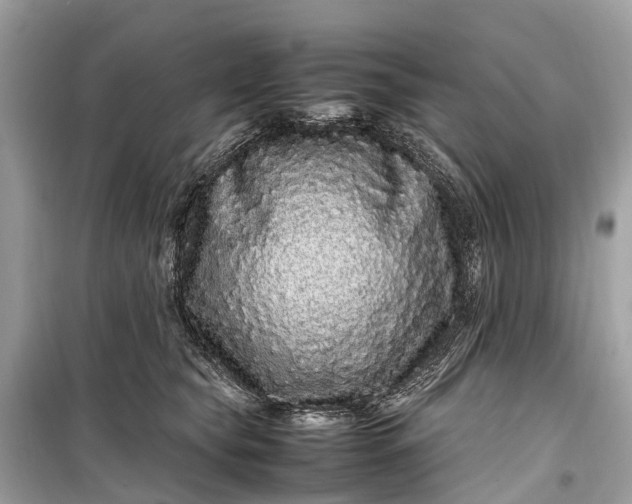 X0000099310565200805161416