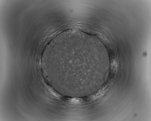 X0000099310566200805161416