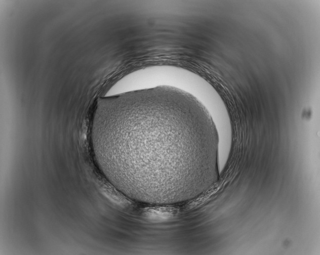 X0000099310567200805161416