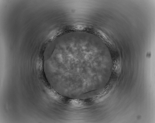 X0000099310568200805161416