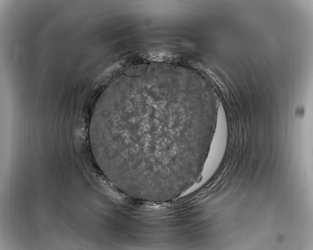 X0000099310569200805161416