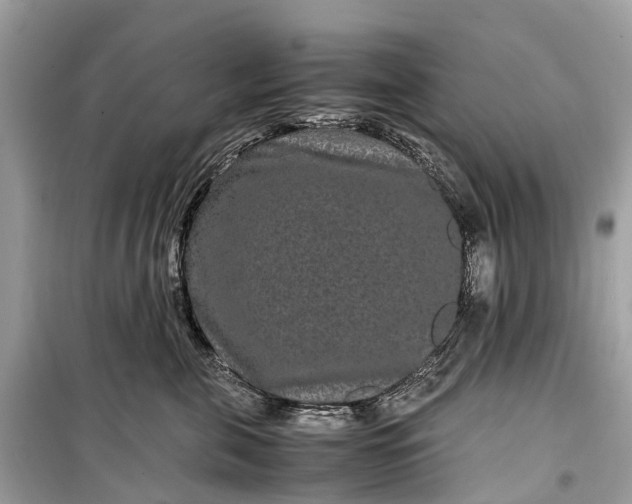 X0000099310571200805161416