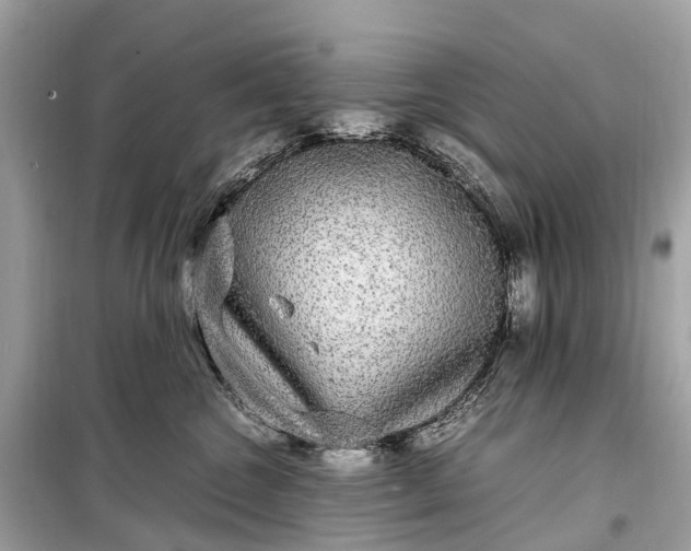 X0000099310572200805161416