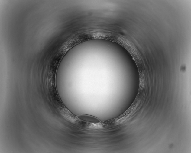 X0000099310573200805161416