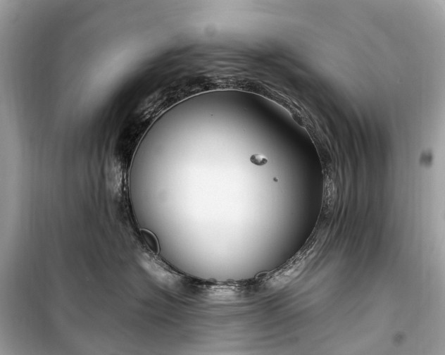 X0000099310574200805161416