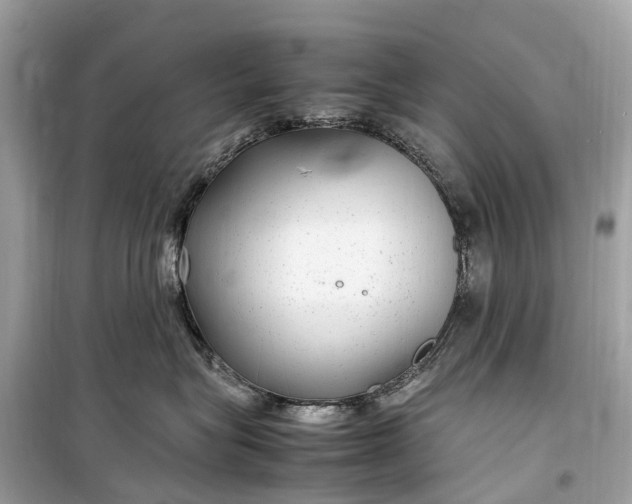 X0000099310575200805161416