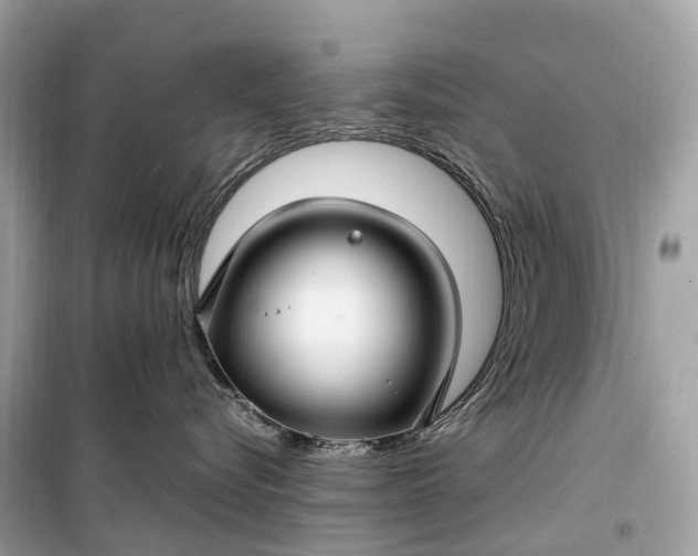 X0000099310576200805161416