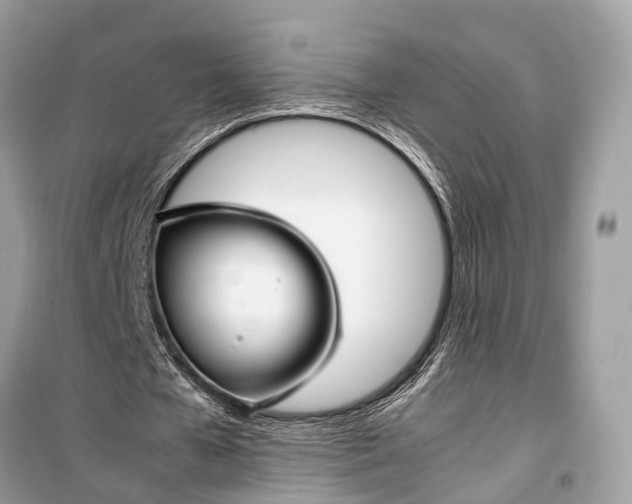 X0000099310577200805161415