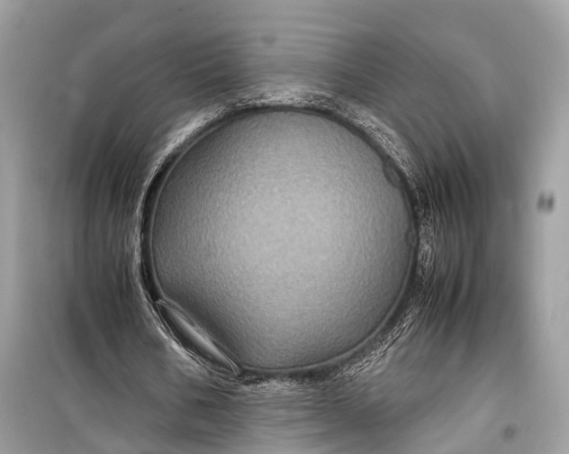 X0000099310578200805161415