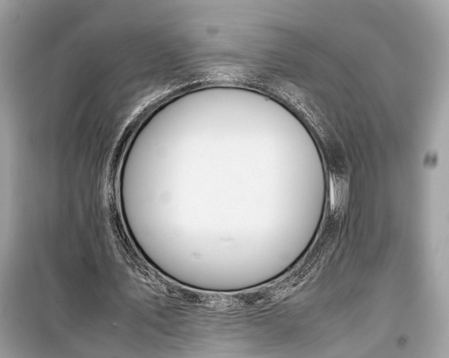 X0000099310579200805161415