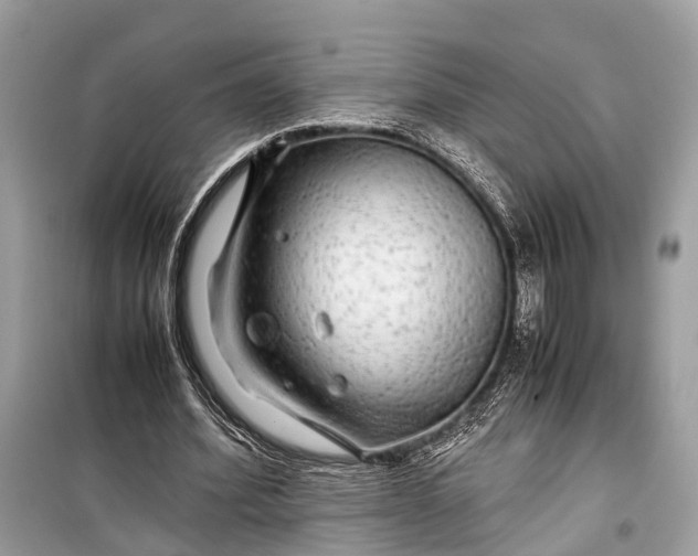 X0000099310580200805161415