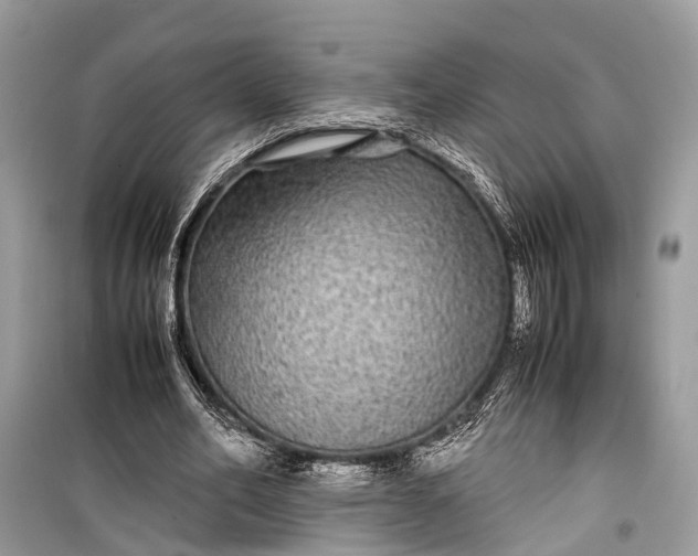 X0000099310582200805161415