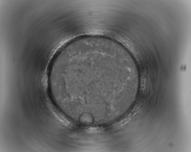 X0000099310584200805161415