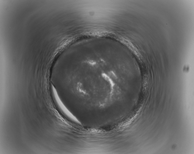 X0000099310585200805161415