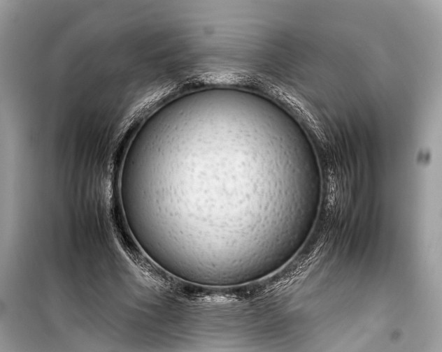 X0000099310586200805161415