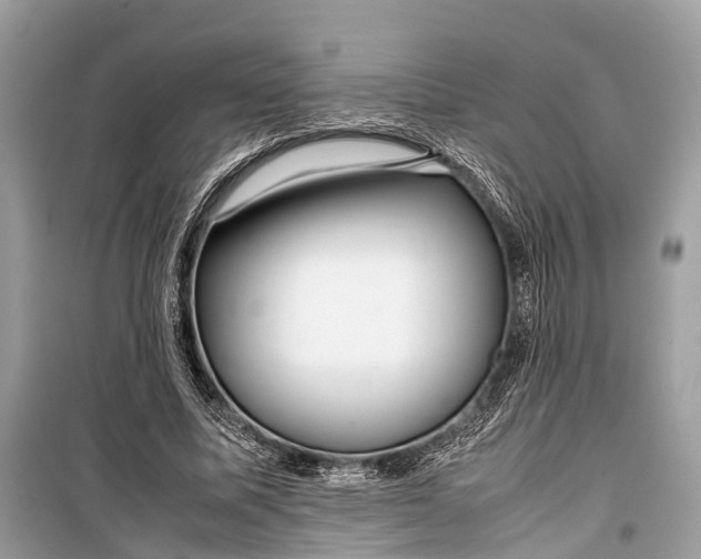 X0000099310587200805161415