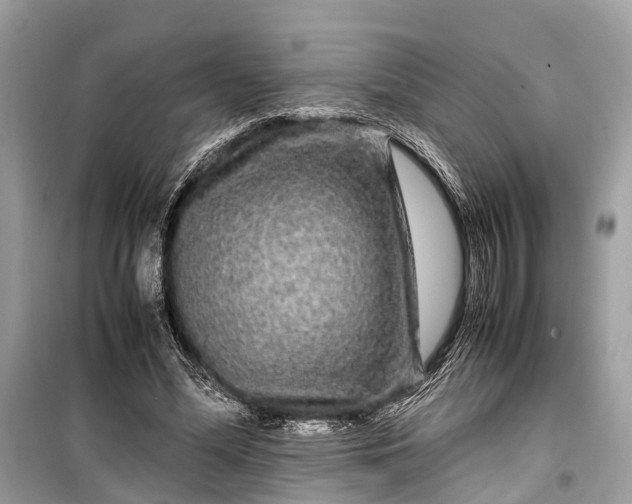 X0000099310588200805161415