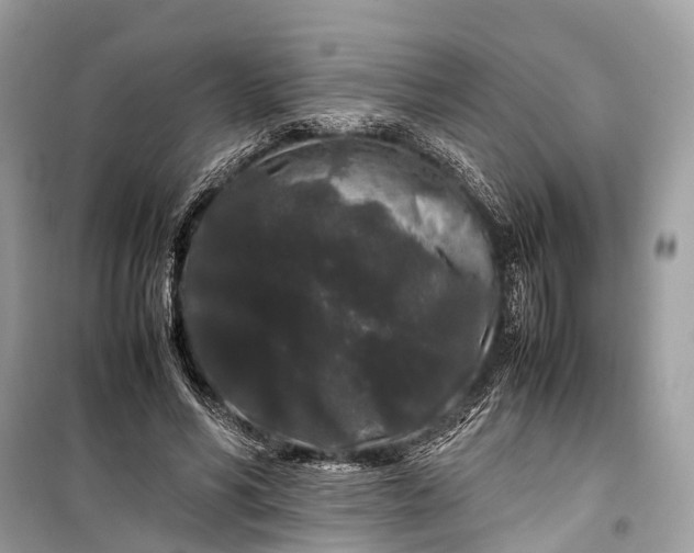 X0000099310590200805161415