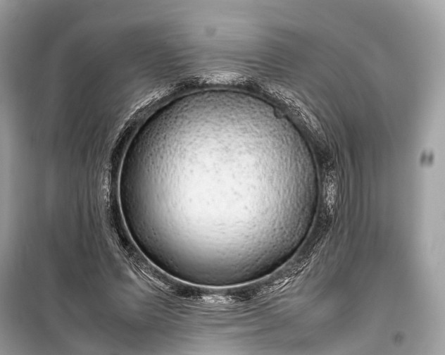 X0000099310591200805161415