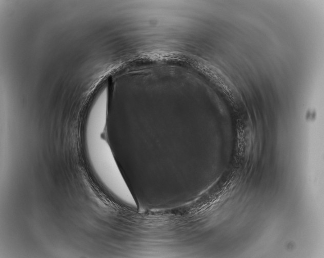 X0000099310592200805161415