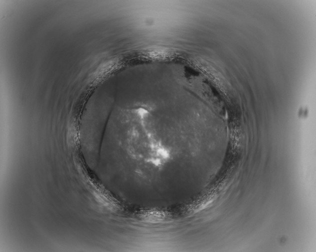 X0000099310593200805161415