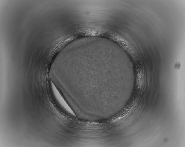 X0000099310594200805161415