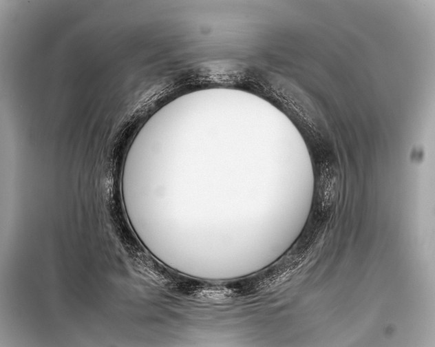 X0000099310595200805161415