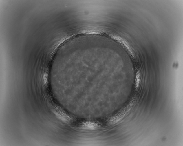 X0000099310596200805161415