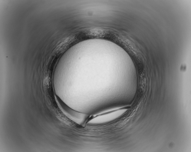 X0000099310597200805161415