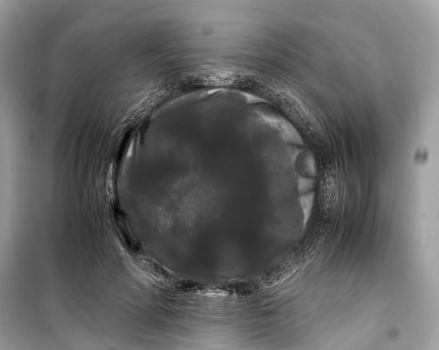 X0000099310598200805161414