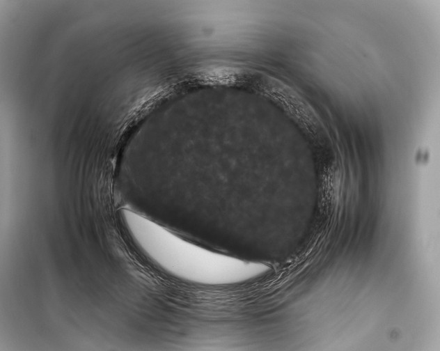 X0000099310600200805161414