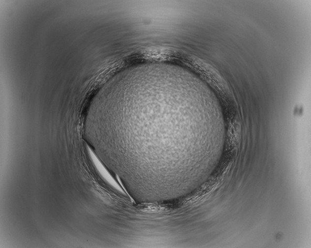 X0000099310601200805161414