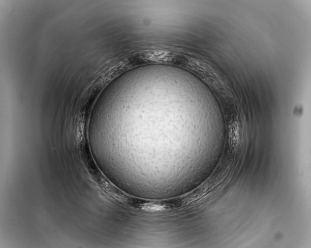 X0000099310602200805161414