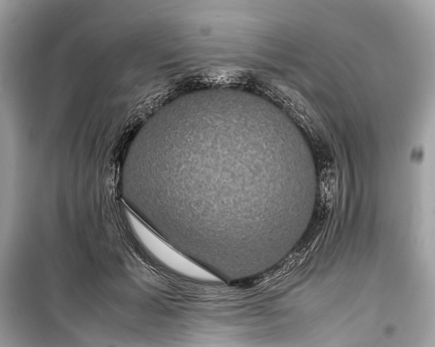 X0000099310605200805161414