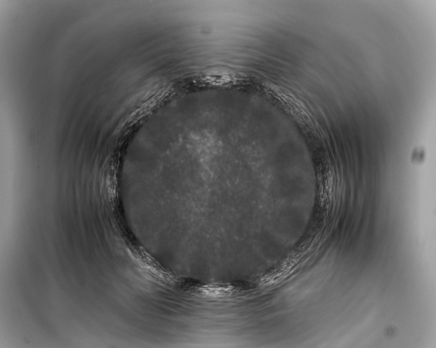 X0000099310606200805161414