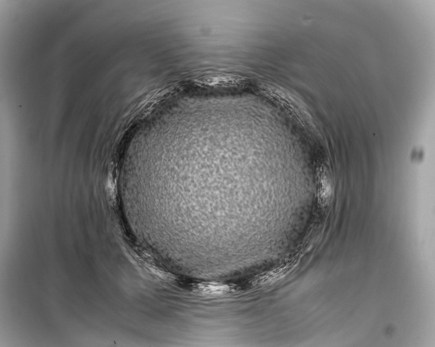 X0000099310607200805161414