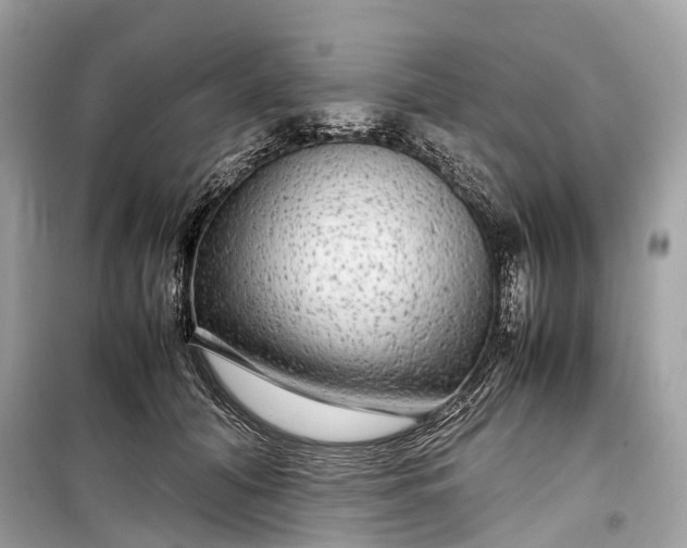 X0000099310608200805161414