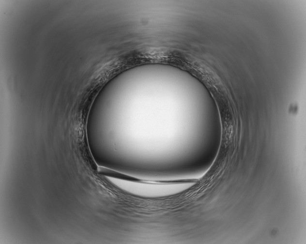 X0000099310609200805161414