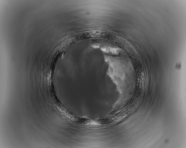 X0000099310610200805161414