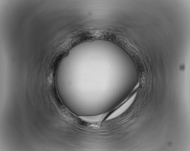 X0000099310611200805161414