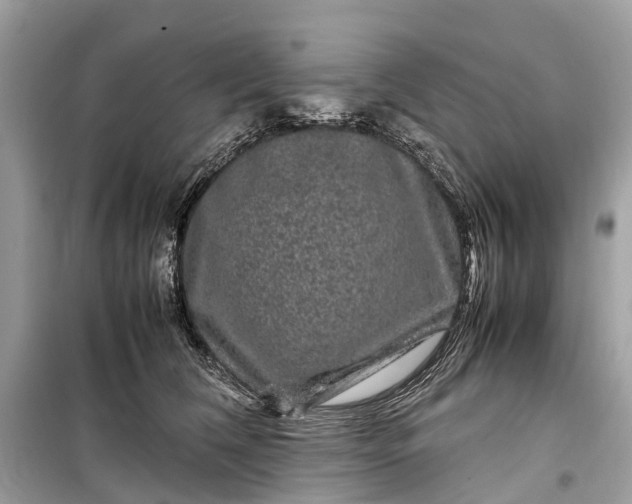 X0000099310612200805161414