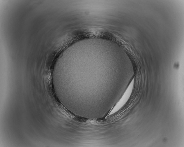 X0000099310613200805161414