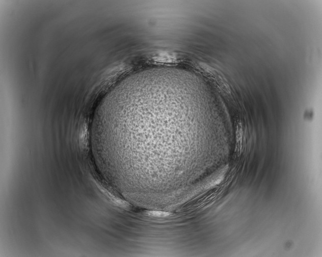 X0000099310614200805161414