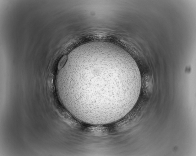 X0000099310615200805161414