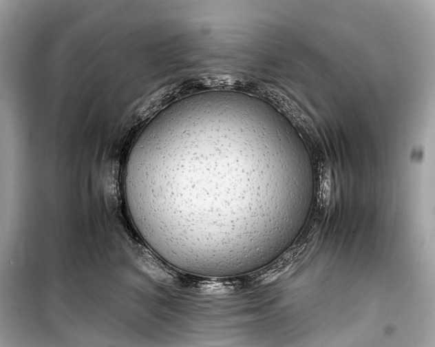 X0000099310616200805161414