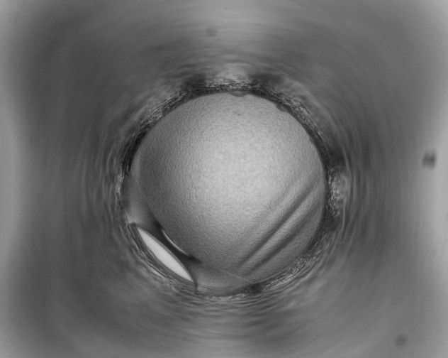 X0000099310617200805161414