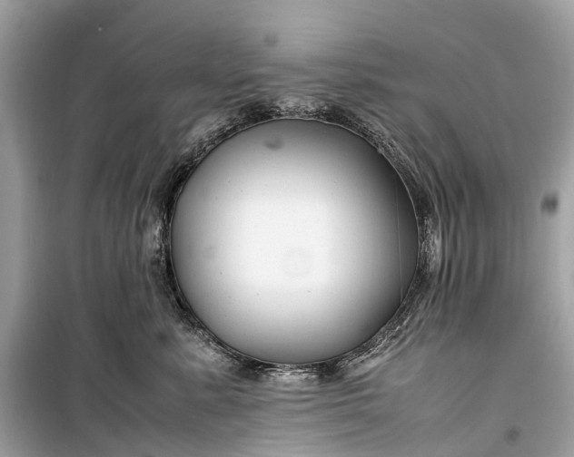 X0000099310619200805161414