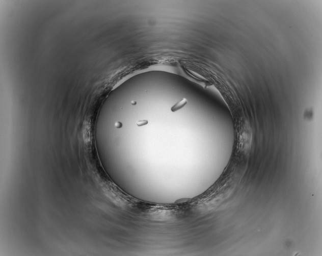 X0000099310620200805161414