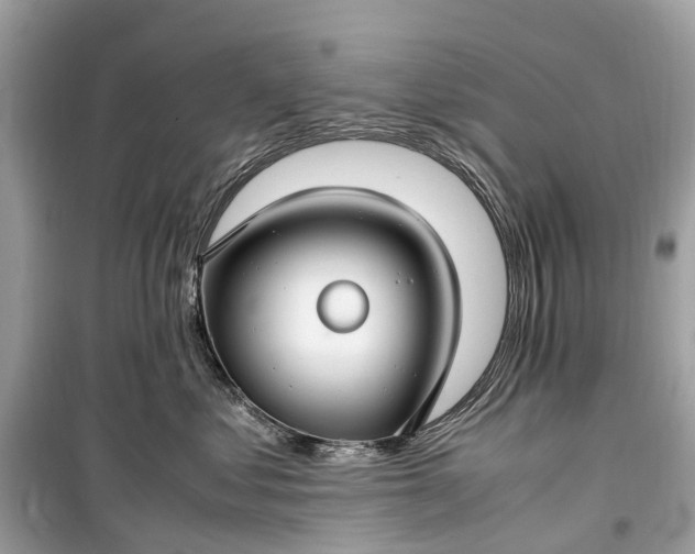 X0000099310621200805161414